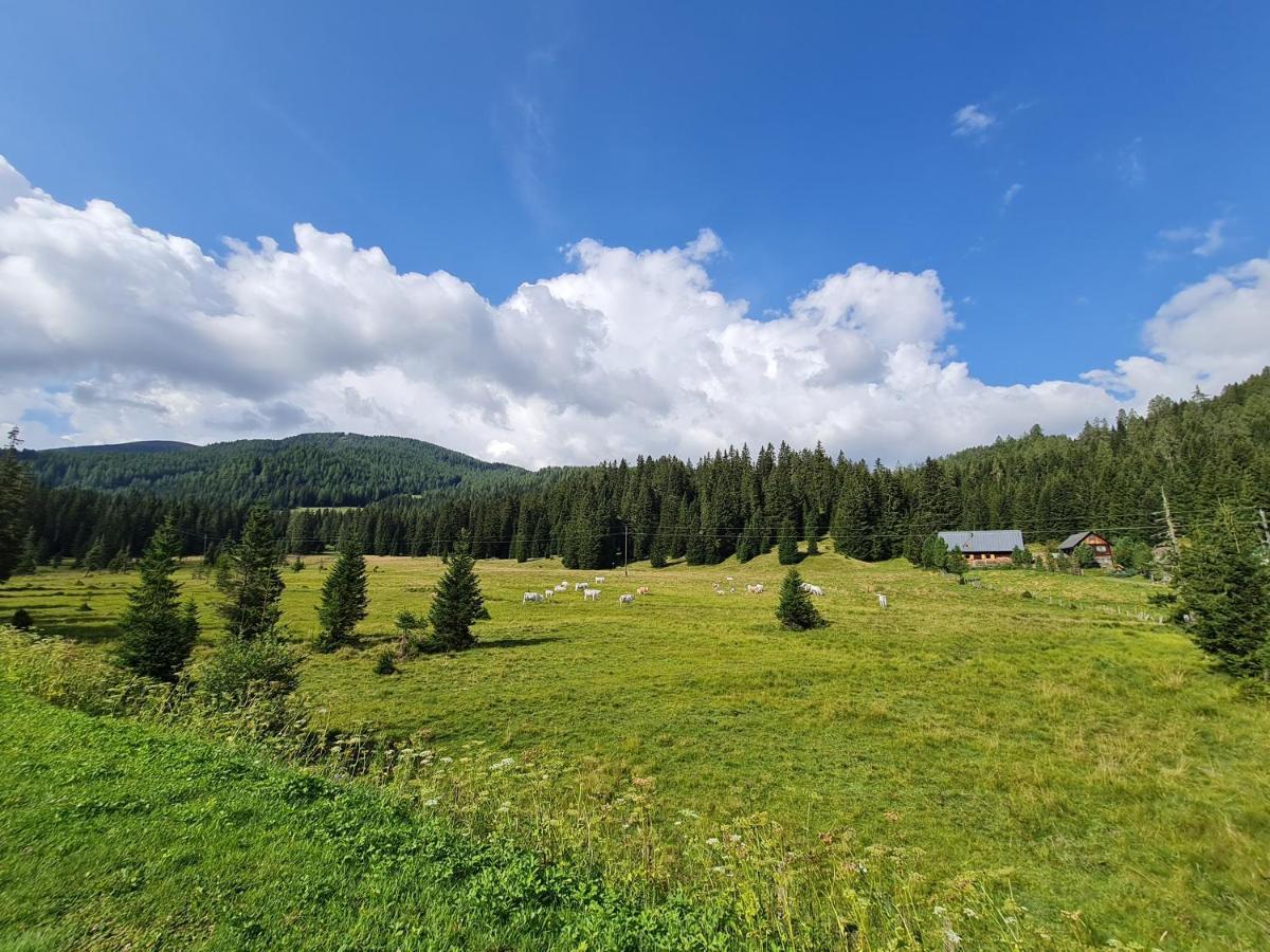 Apartmenthaus Almwiese Flattnitz Dış mekan fotoğraf