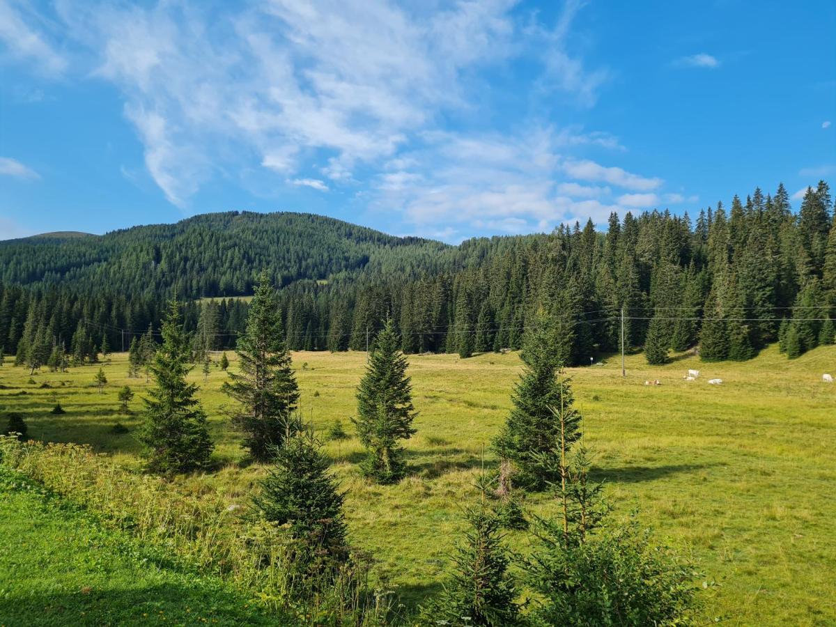 Apartmenthaus Almwiese Flattnitz Dış mekan fotoğraf