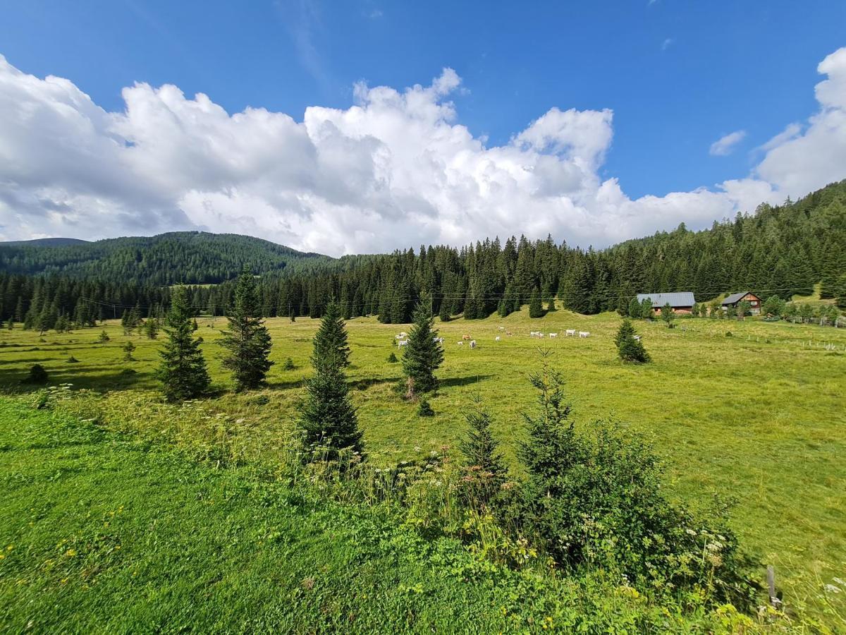 Apartmenthaus Almwiese Flattnitz Dış mekan fotoğraf