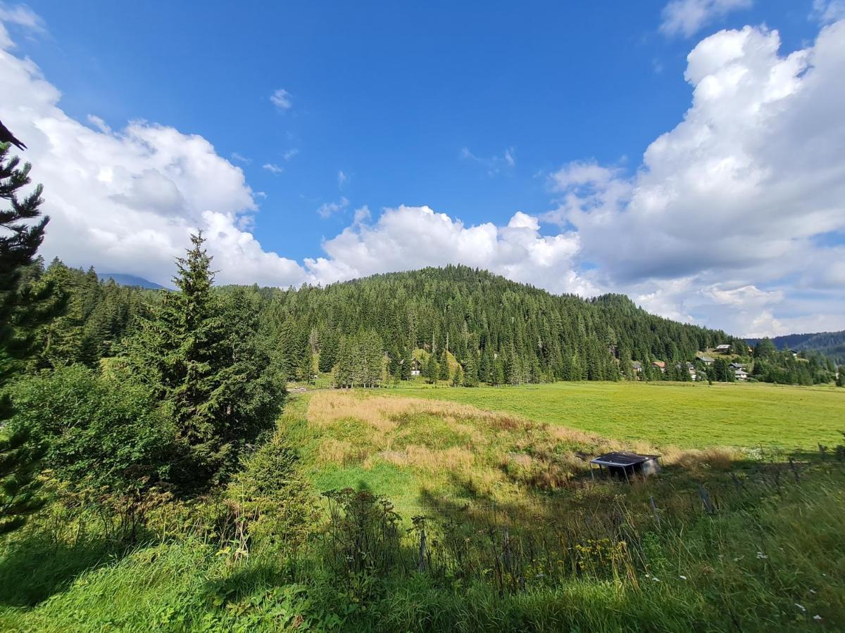 Apartmenthaus Almwiese Flattnitz Dış mekan fotoğraf